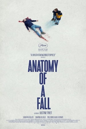 Anatomy of a Fall movie poster