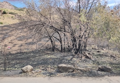 Burned mountain 1
