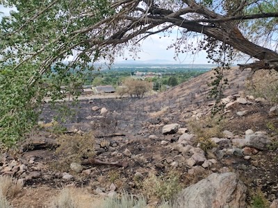 Burned mountain 3